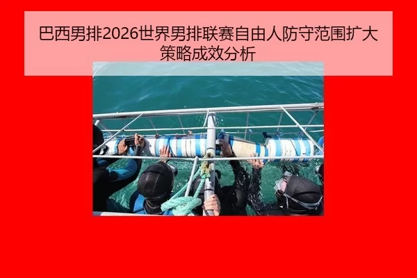ba-xi-nan-pai-shi-jie-nan-pai-lian-sai-zi-you-ren-fang-shou-fan-wei-kuo-da-ce-lve-cheng-xiao-fen-xi-2-359.jpg